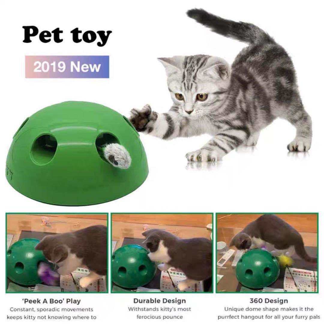 Electric Mouse Chase Cat Toy