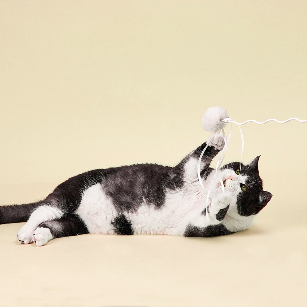 Interactive Bendable Cat Wand Toy - Hours of Feline Fun