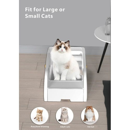 Smart Self-Cleaning Litter Box - Wide Opening Design